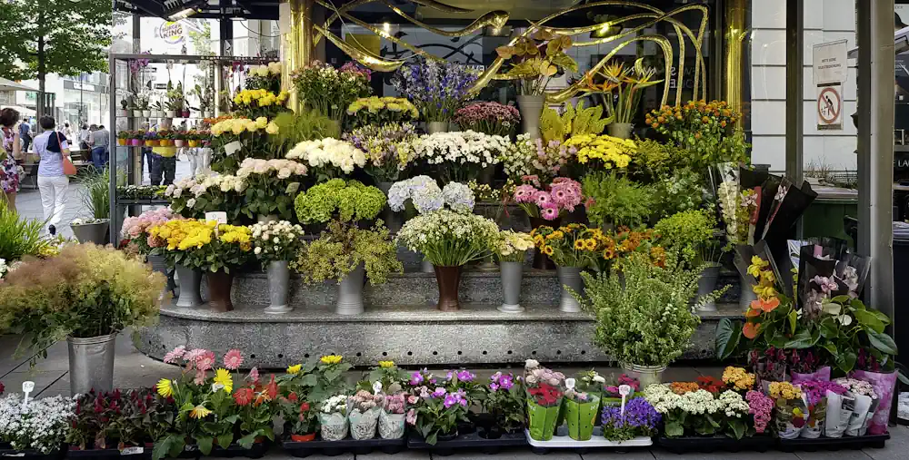 Sfeerafbeelding voor websites voor sociaal domein