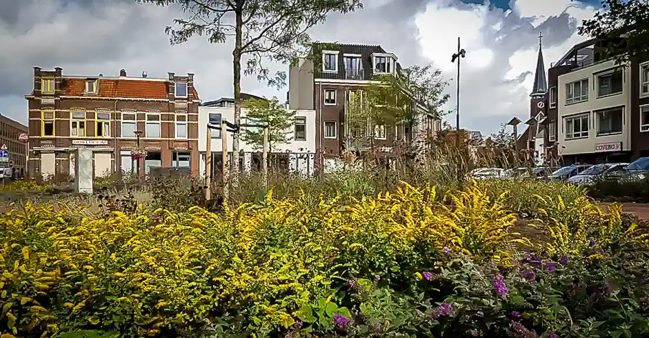 MVO - hoe wij maatschappelijk verantwoord ondernemen. Beeld ter illustratie.